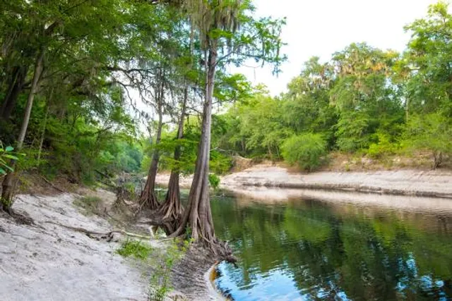 Suwannee River Wilderness State Trail