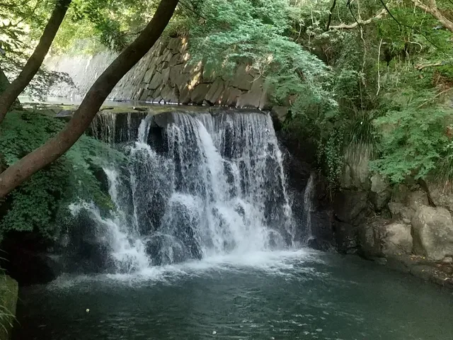 Masakarigabuchi Citizen's Forest