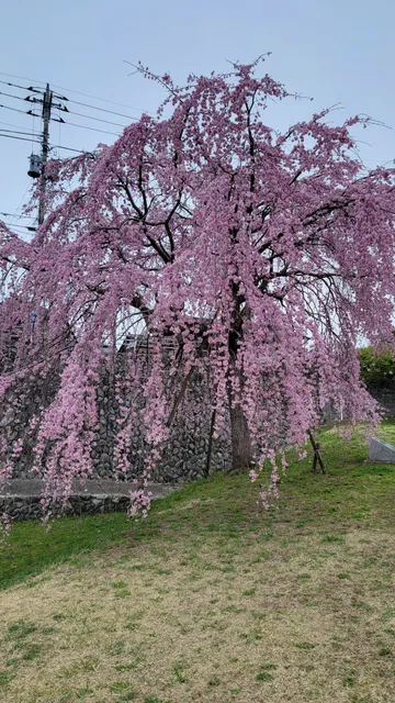 Hamurashi Minakami Park