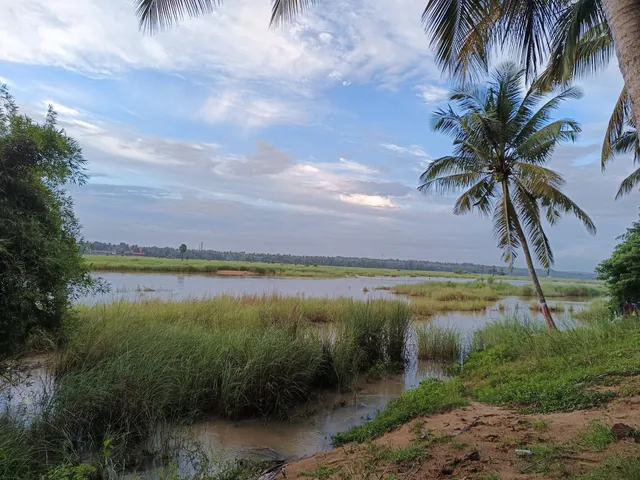 Thavanur Sree Brahma Temple