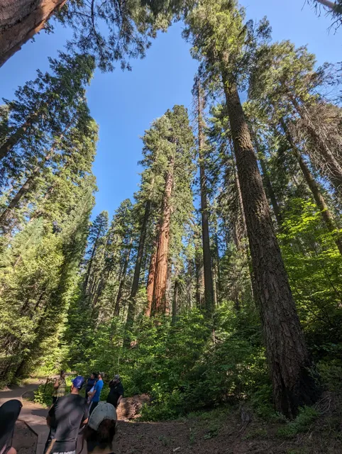 Sequoia Parks Conservancy