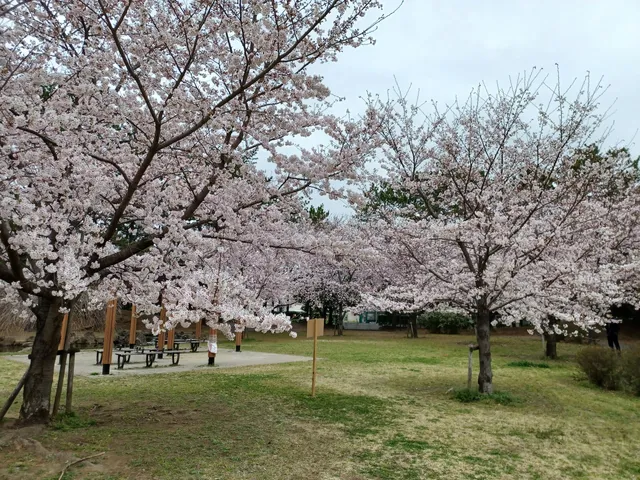 Saiwaicho Park