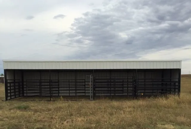 Backs, - And, - Barns.