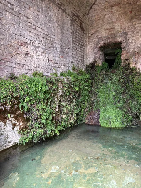 Appartamenti - Le Fonti di San Carlo