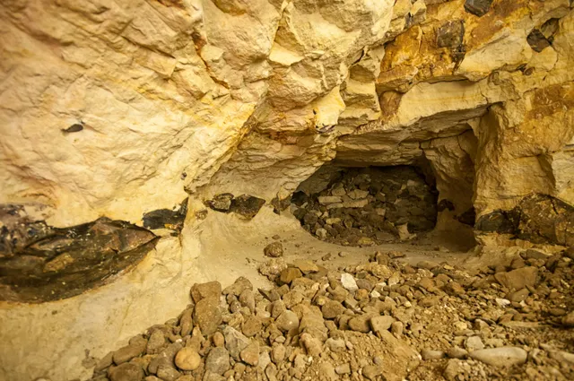 Vuursteenmijnen van Rijckholt