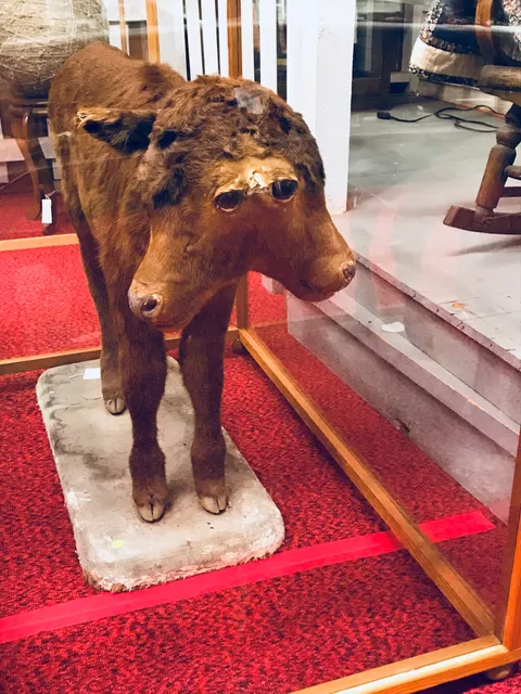 Becker County Museum, History, Science, Childrens