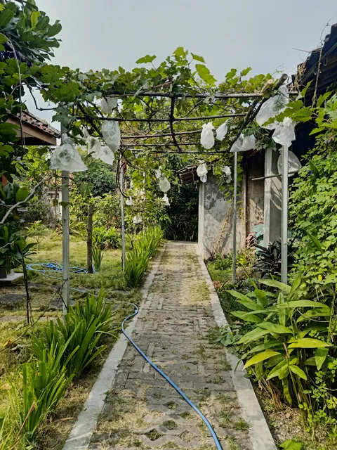 Pendopo Kayuwanan Homestay Syariah near terminal Giwangan