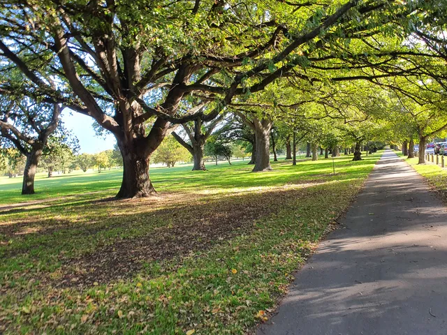 South Hagley Park