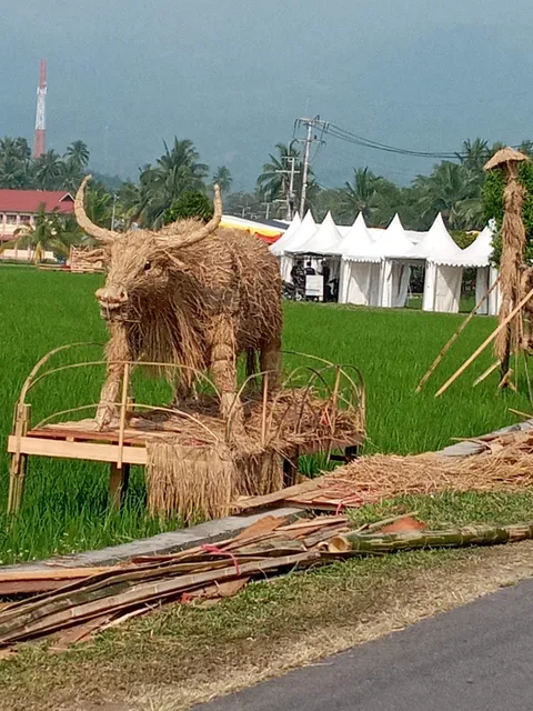 SAWAH SOLOK