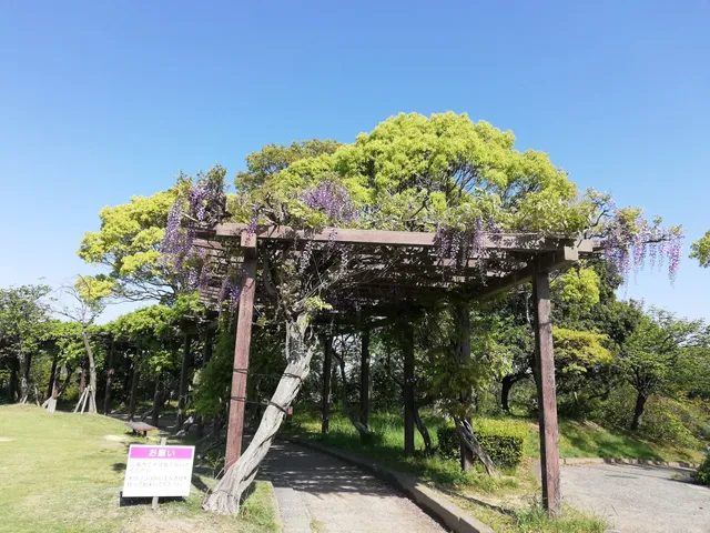 Imabari Shiminnomori Flower Park