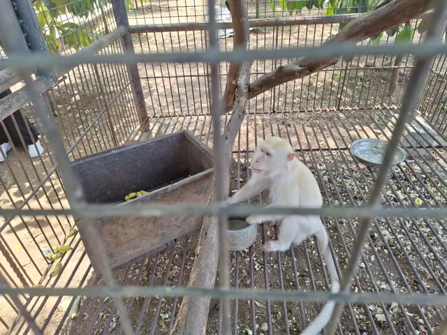 Bontomarannu Education Park