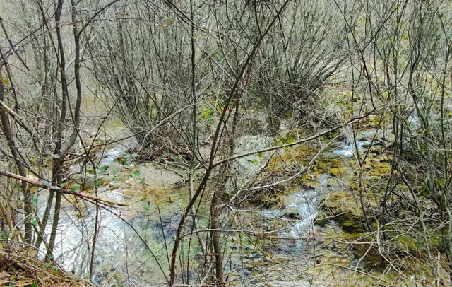 Značajni krajobraz Sutina