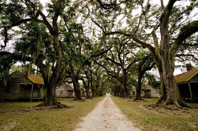 Evergreen Plantation