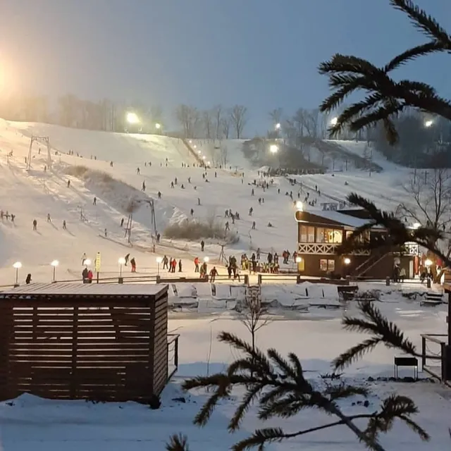 Диканська селищна громада