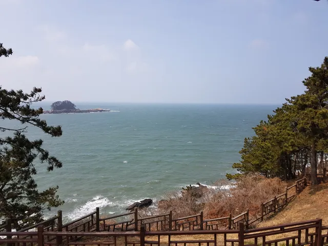 Maryang-ri Camellia Forest