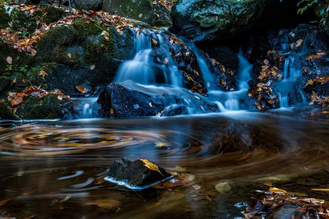 Shah Alam Community Forest Trail head