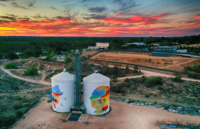 Paringa Silo Art