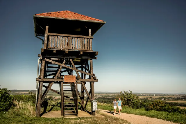 Lookout Tower Gobelsberg