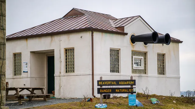 Beavertail Aquarium