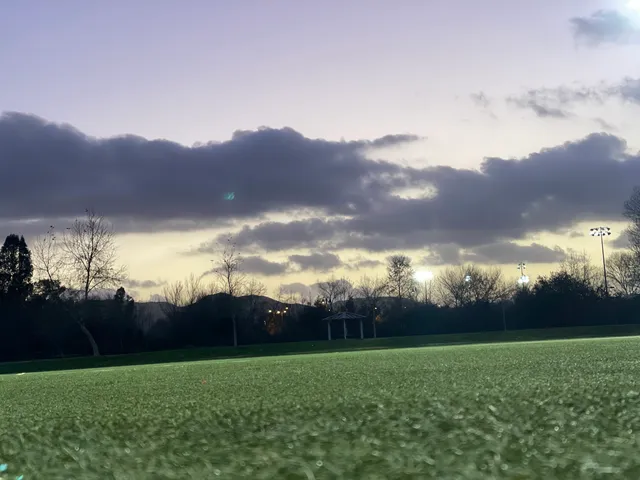 Town Center Park East