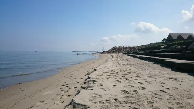 Shiunji Memorial Park