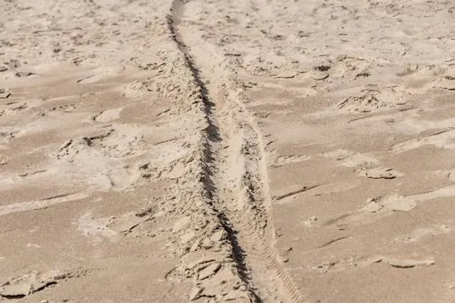 photo-2