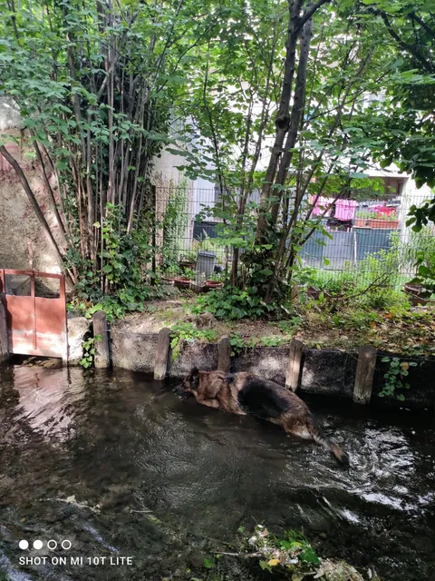Canal De Chateauvert