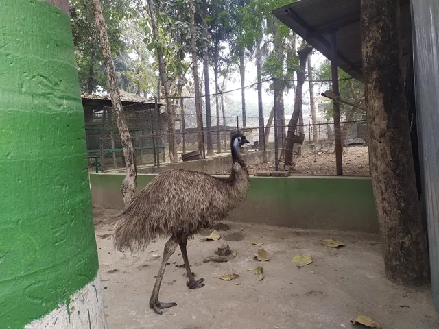 Mahendra Park & Mini Zoo (महेन्द्र पार्क तथा चिडियाखाना)