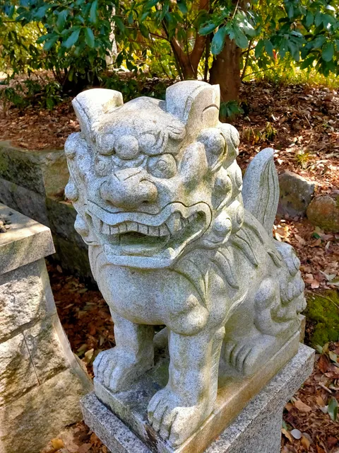 photo-1