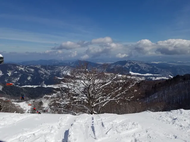 photo-3