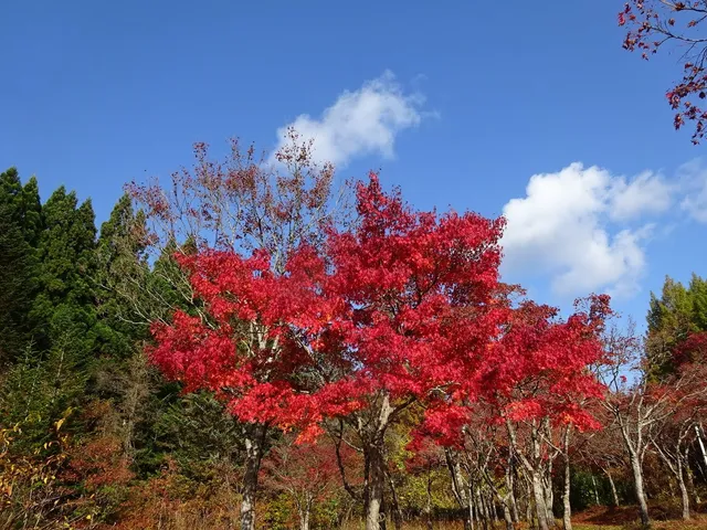Asahikawa Dam Park