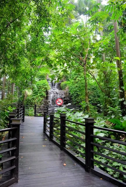 KLIA Jungle Boardwalk