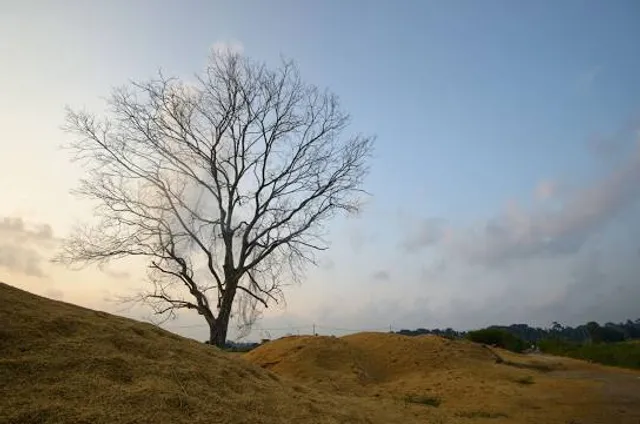 Ryukakuji Tomb Group Tomb No. 105