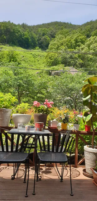 나폴리 Napoli Pizza