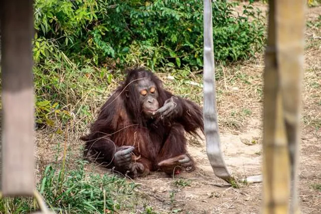Little Rock Zoo