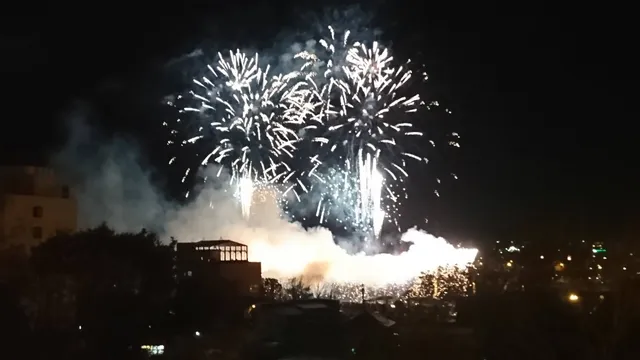 Saiwaicho Ryokuchi Park