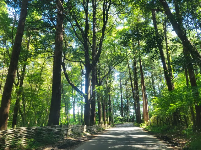 Chiba Prefectural Funabashi Forest Park