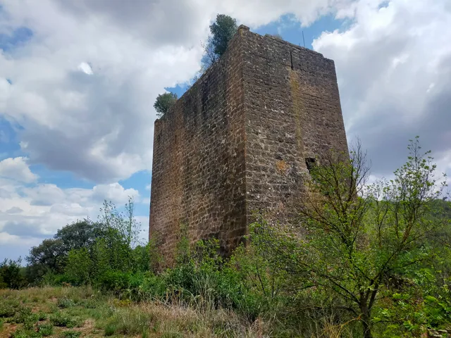 Castell de Riner