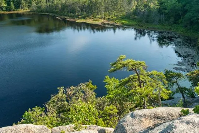 Long Pond Woods Wildlife Refuge
