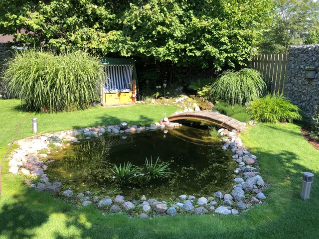 The bush, garden landscaping