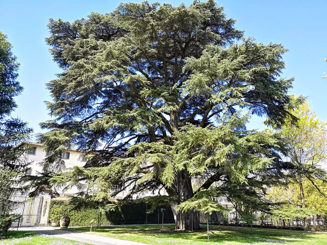 Orto Botanico Comunale di Lucca