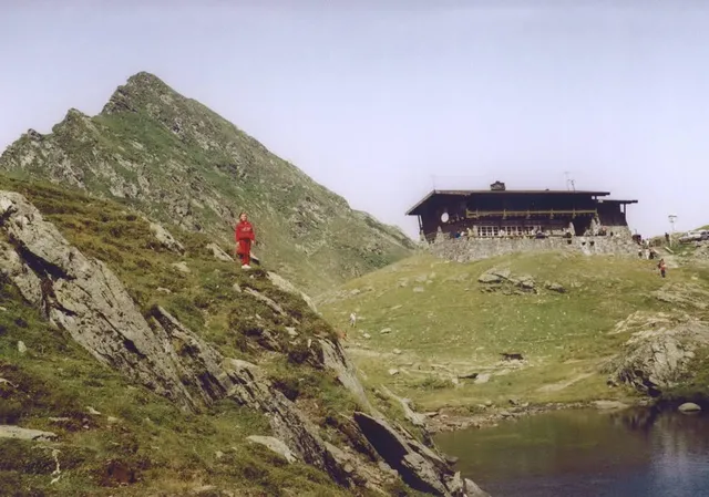 Vârful Paltinu, Munții Făgăraș