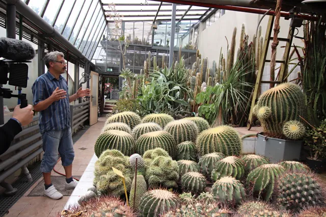 Botanická zahrada Orlová, z. ú.