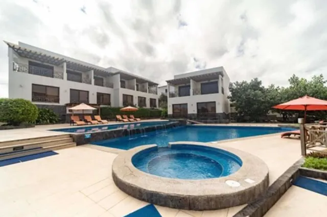 Palo Santo Galápagos