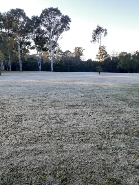 Elizabeth Macarthur Reserve