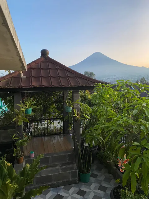 MOZA HOUSE WONOSOBO Florist & Homestay