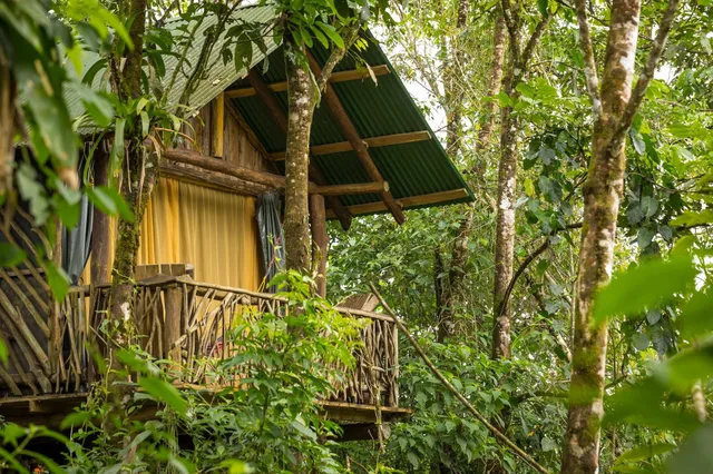 La Tigra Rainforest Lodge