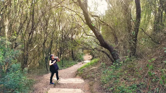 Acadiana Park Nature Station