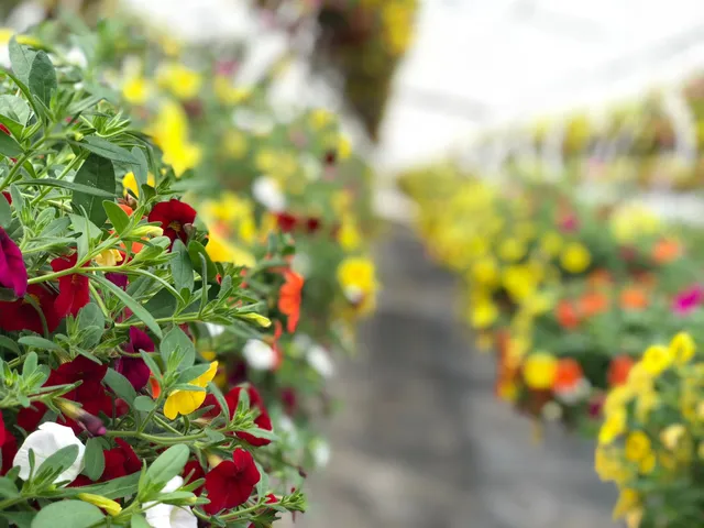 Bauman's Farm and Garden