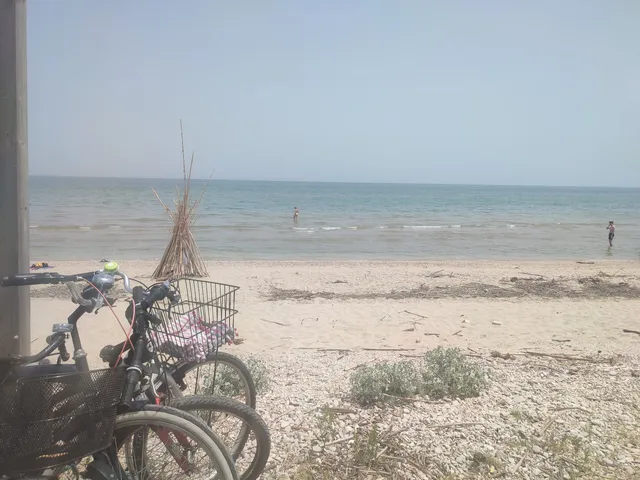 Riserva Naturale del Borsacchio